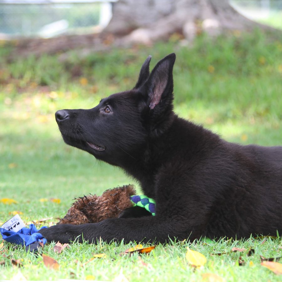 10 weeks 10