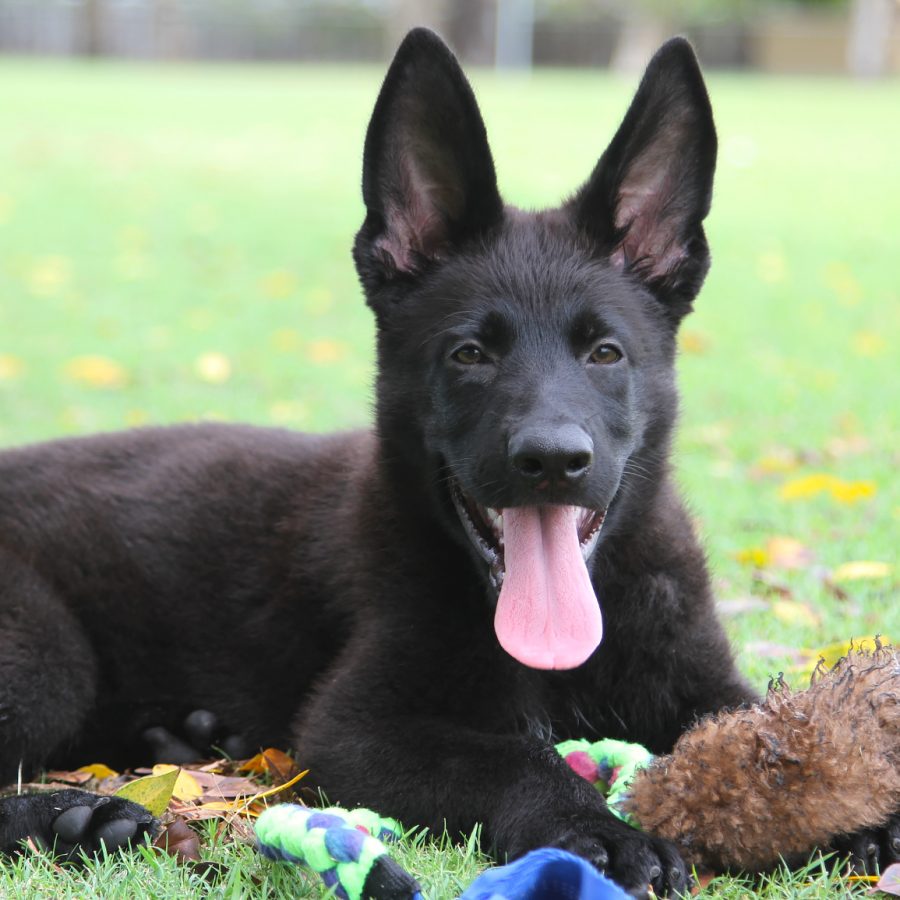 10 weeks 12