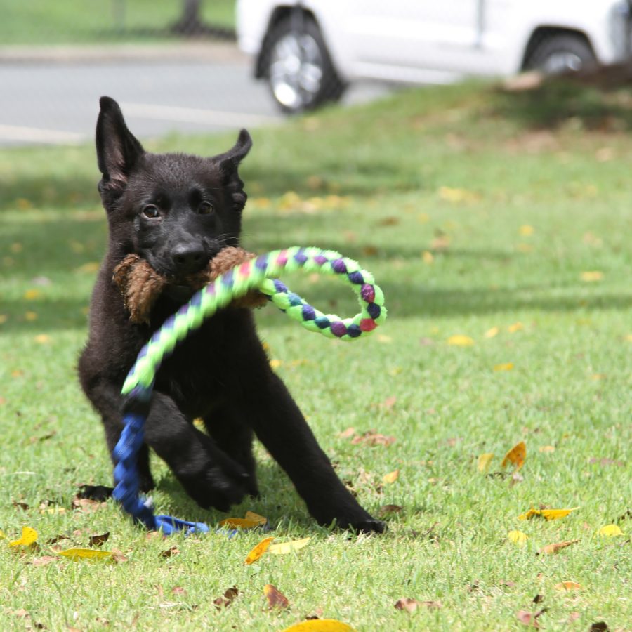 10 weeks 6