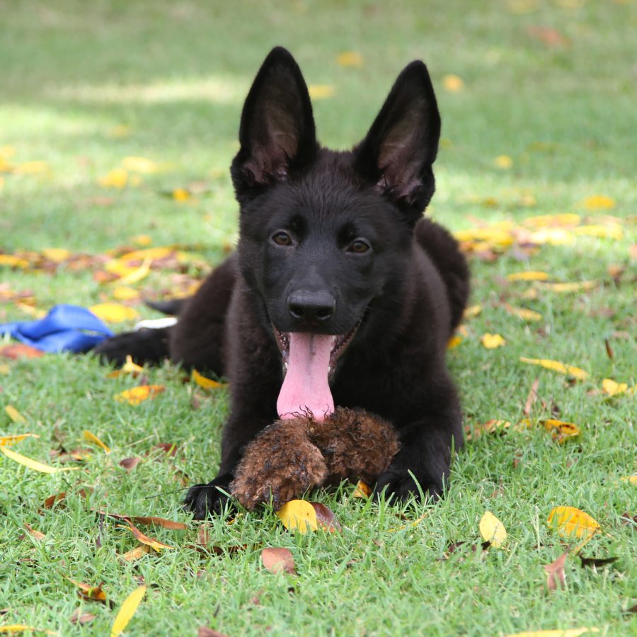 10 weeks 7
