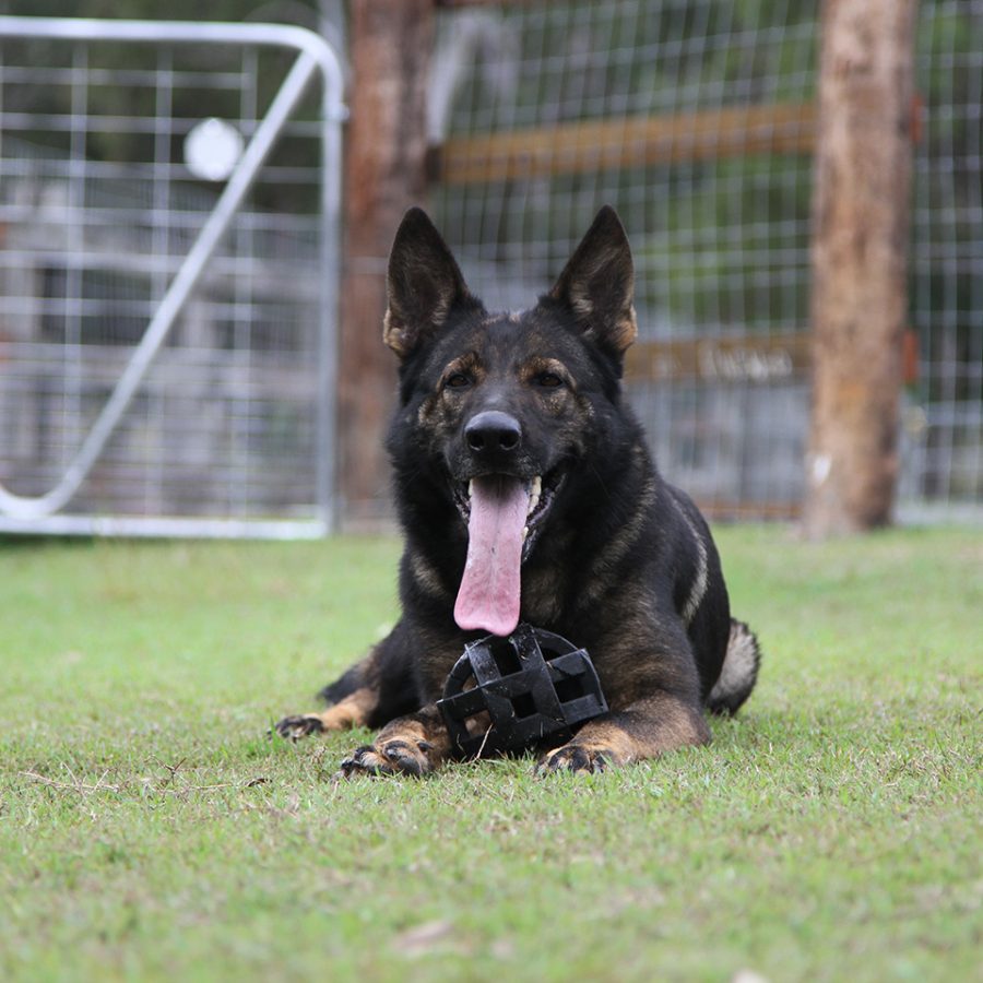 Nyxa 3 years 7