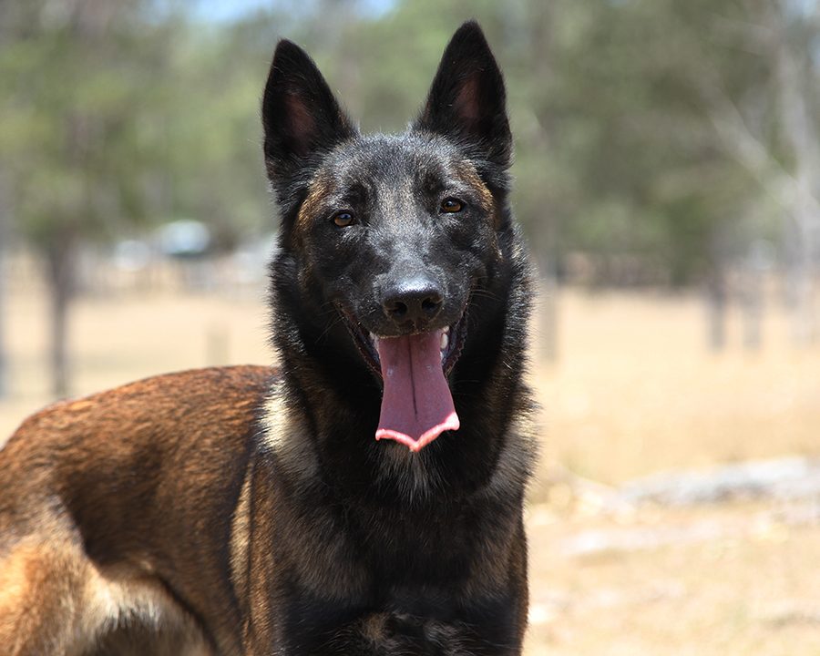 Zena 12 months