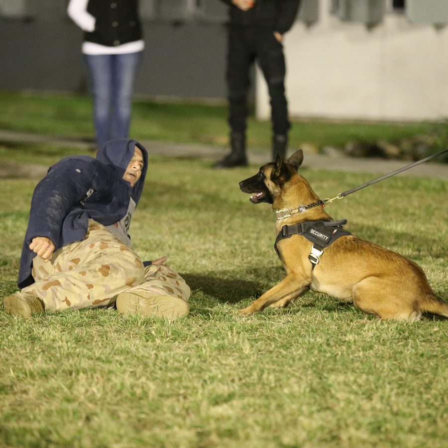 standoff