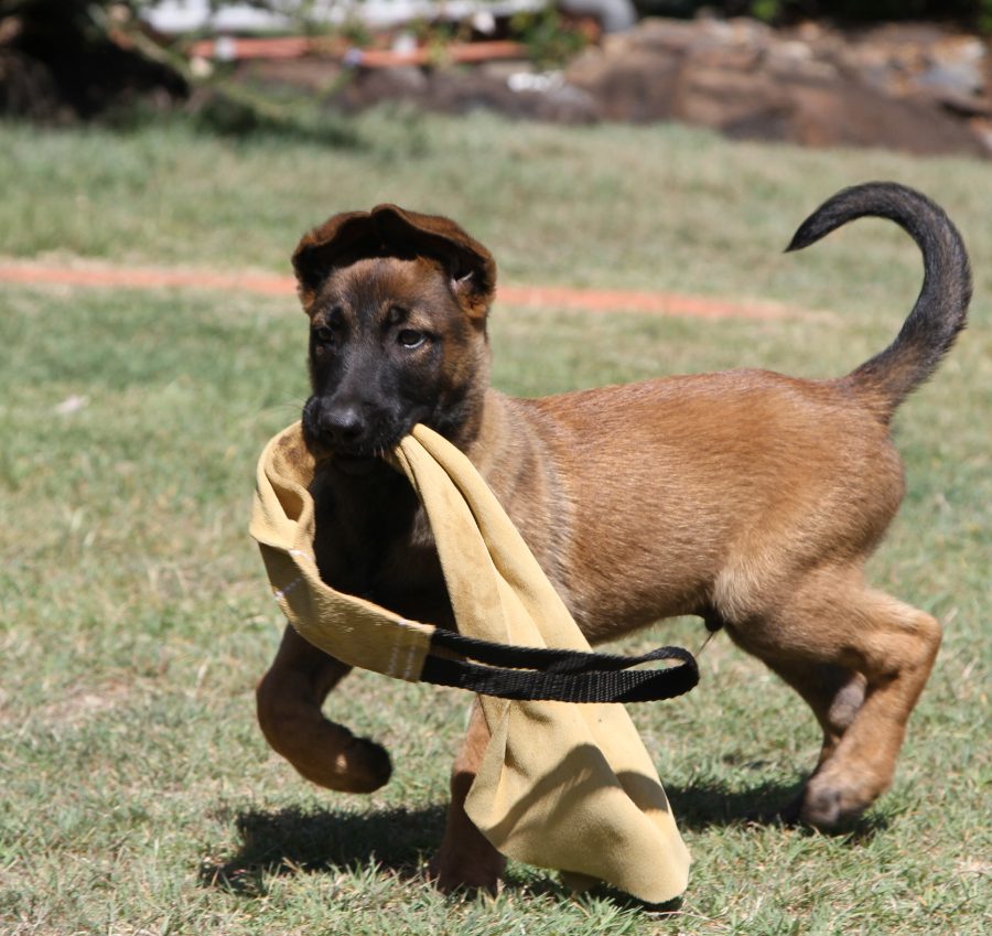 10 weeks 2