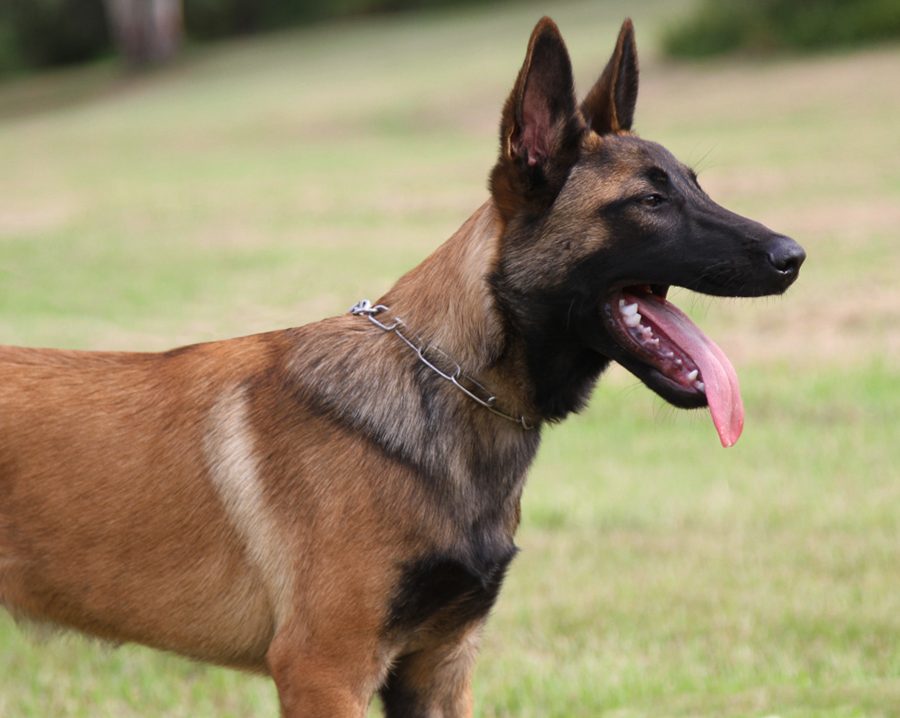 Kraken 5 months 3