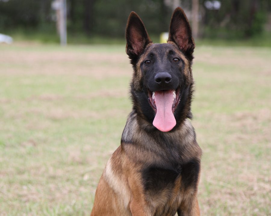 Kraken 5 months 7
