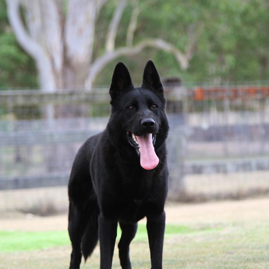Mamba_20 months