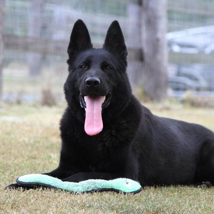 Mamba_20 months_2