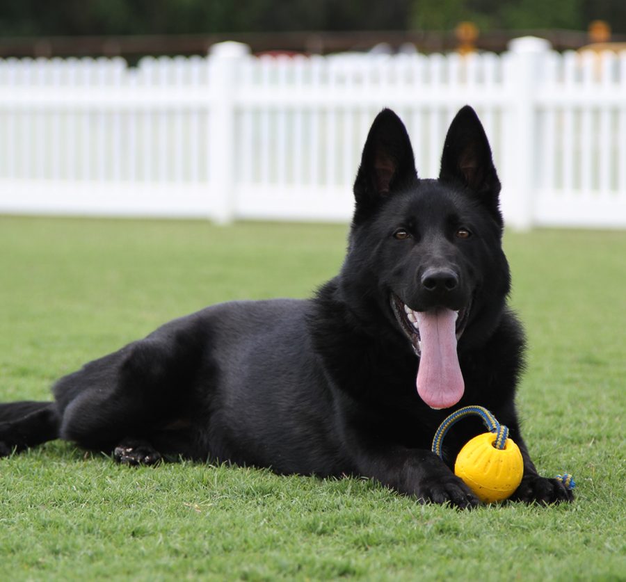 Mamba_5.5months_2