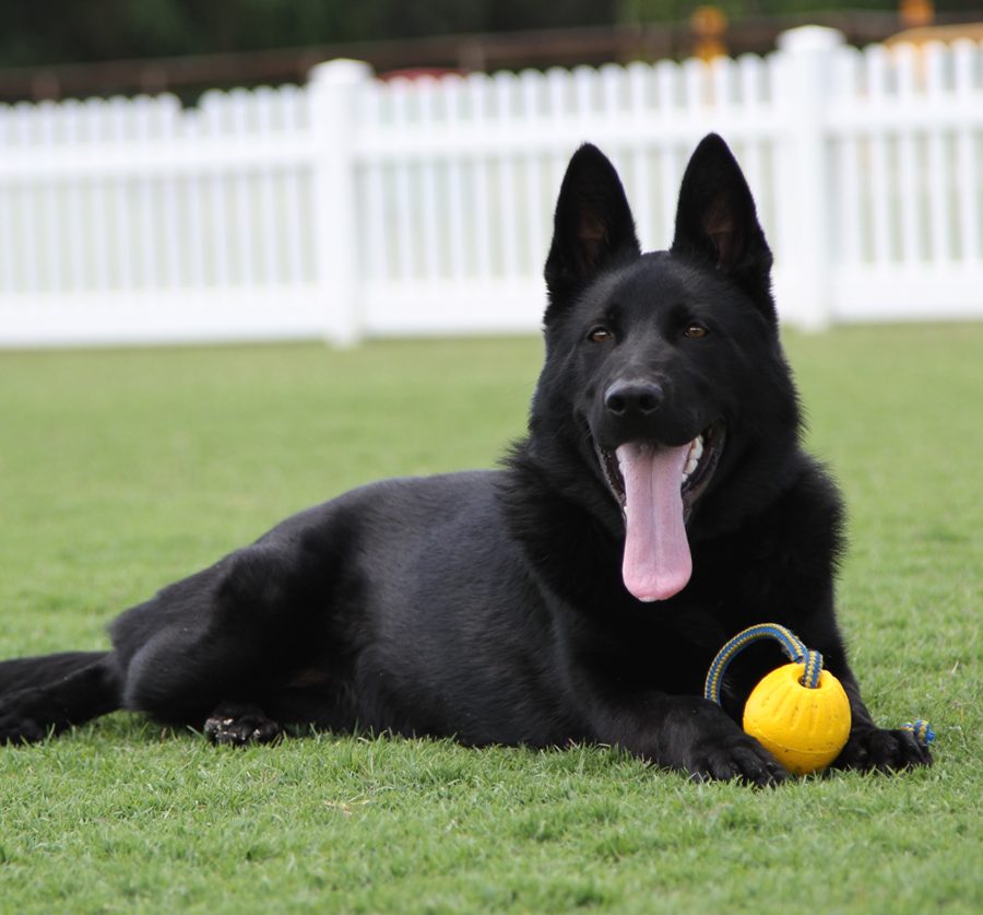 Mamba_5.5months_3