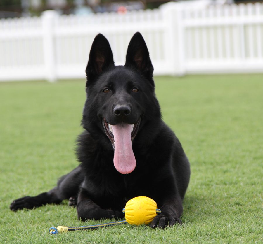 Mamba_5.5months_4